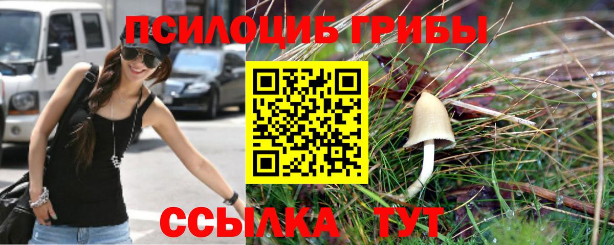 Псилоцибиновые грибы ЛСД Борисоглебск