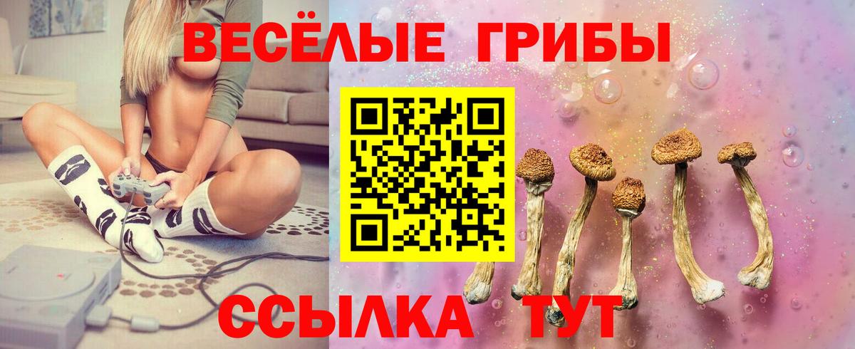 Борисоглебск  Псилоцибиновые грибы мухоморы  Вход с VPN 